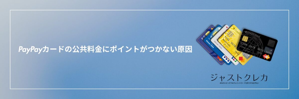 PayPayカードの公共料金にポイントがつかない原因